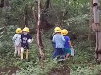 写真：夏探しの学習の様子1