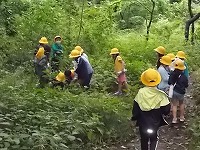 写真：夏探しの学習の様子2