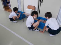 写真：ミニトマトを観察する生徒