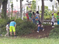 写真：公園で生き物を探す生徒1