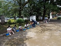 写真：アサガオの観察3