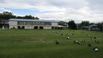 56年みどりの絆