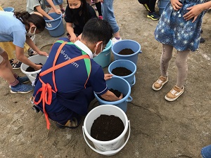 5年バケツ稲の様子3