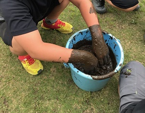 5年バケツ稲の様子4