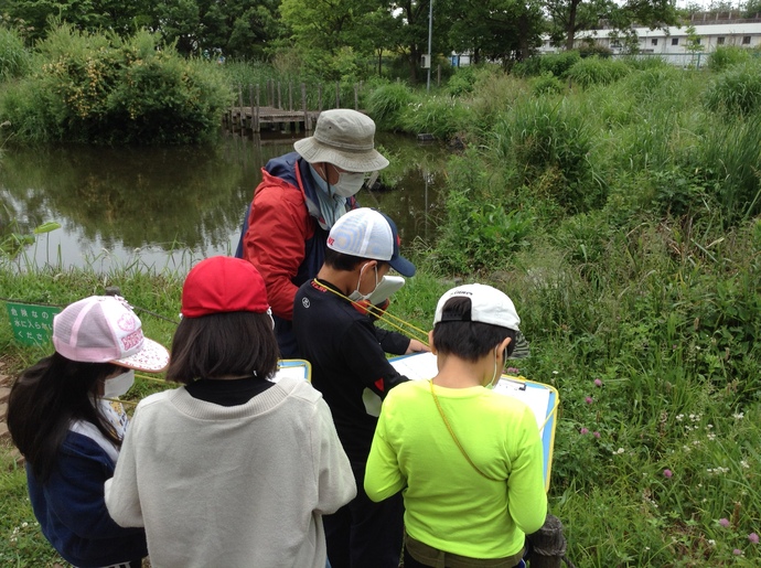 ビオトープの子供達の様子
