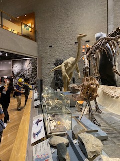 群馬県立自然史博物館