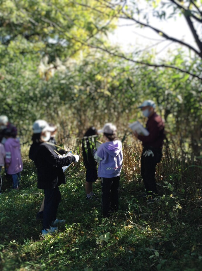 ビオトープ公園秋