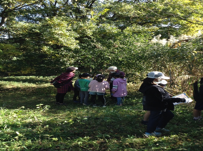 ビオトープ公園2