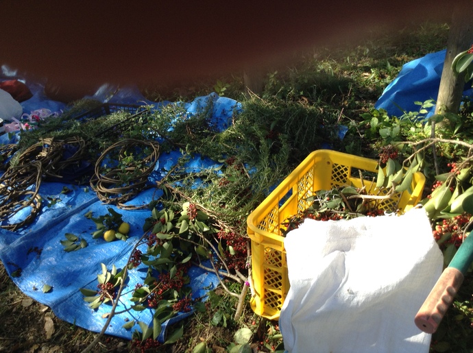 ビオトープ公園秋