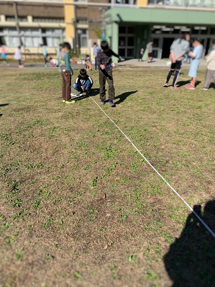 バケツ稲の収穫