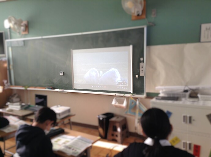 オンライン学習