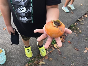 正門の柿の実の様子