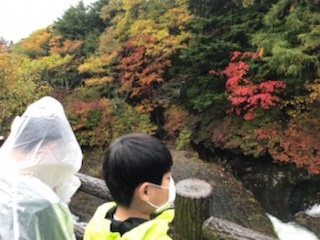 竜頭の滝の様子3