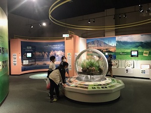 自然博物館の様子