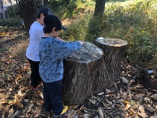 公園で遊ぶ様子2