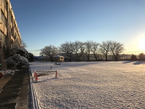 朝の校庭の様子