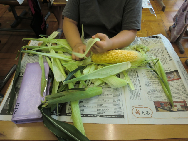 トウモロコシ