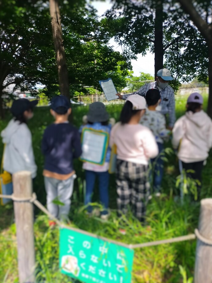 5月10日、11日でビオトープの見学に行きました。ビオトープを育む会の方々に春の動植物の様子を教えていただきました。