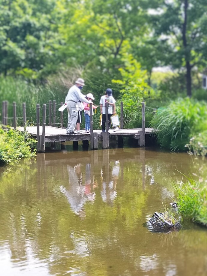 5月10日、11日でビオトープの見学に行きました。ビオトープを育む会の方々に春の動植物の様子を教えていただきました。