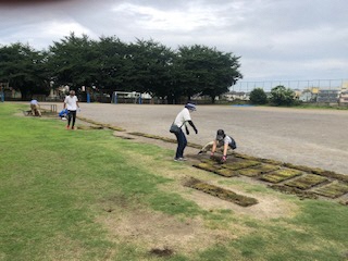 芝生ボランティア