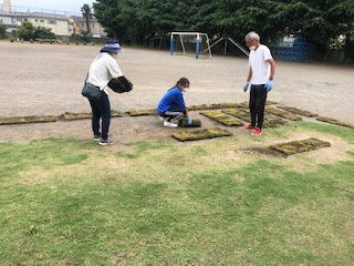 芝生ボランティア