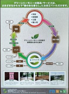 グリーンハーモニー