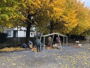 落ち葉ボランティア