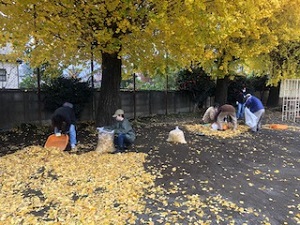 美化清掃・落ち葉掃きボランティア