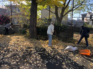 落ち葉掃き