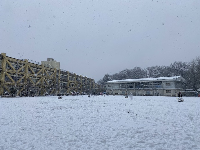 小学校の雪