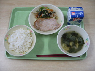 給食