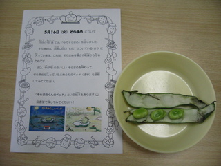 給食