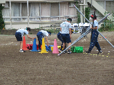 写真　運動会予行