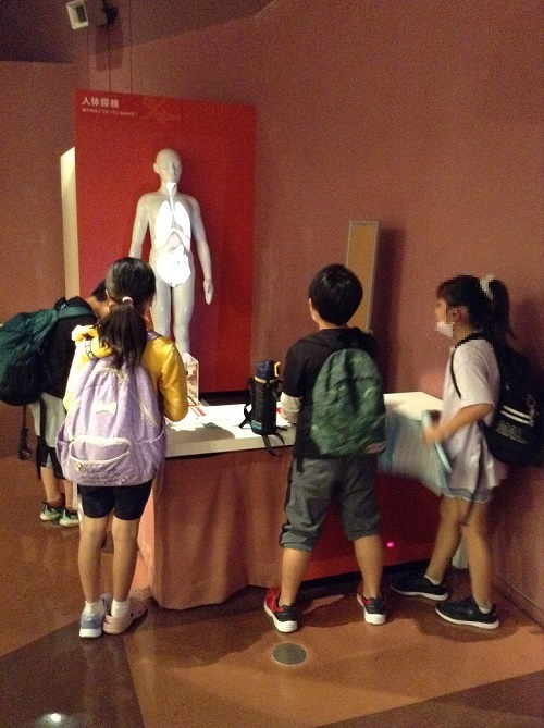 見学をする4年生