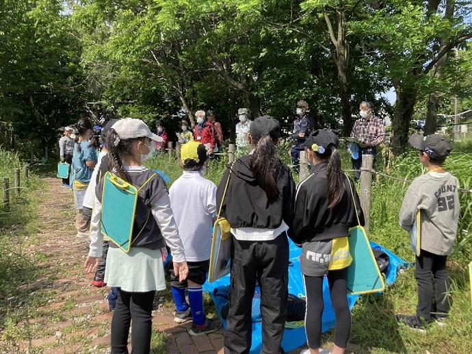 ビオトープを見学する3年生