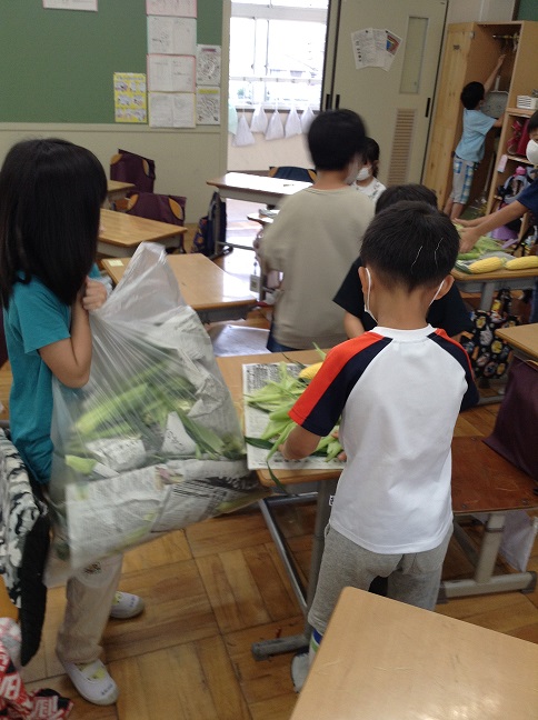 とうもろこし皮むき体験