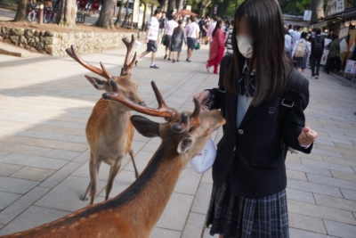 奈良公園