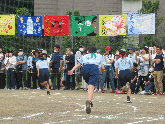 写真　運動会