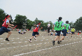 写真　運動会