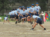 写真　運動会