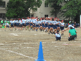写真　運動会