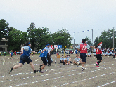 写真　運動会