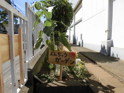 よんちゅうガーデン