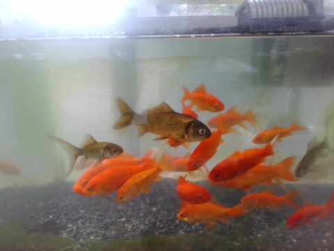 10月4日 学校の様子