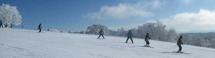 写真　スキー教室