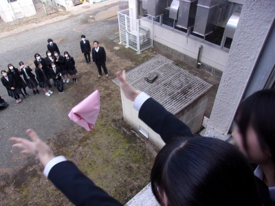 エッグチャレンジ