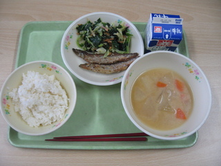 給食