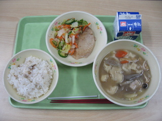 給食