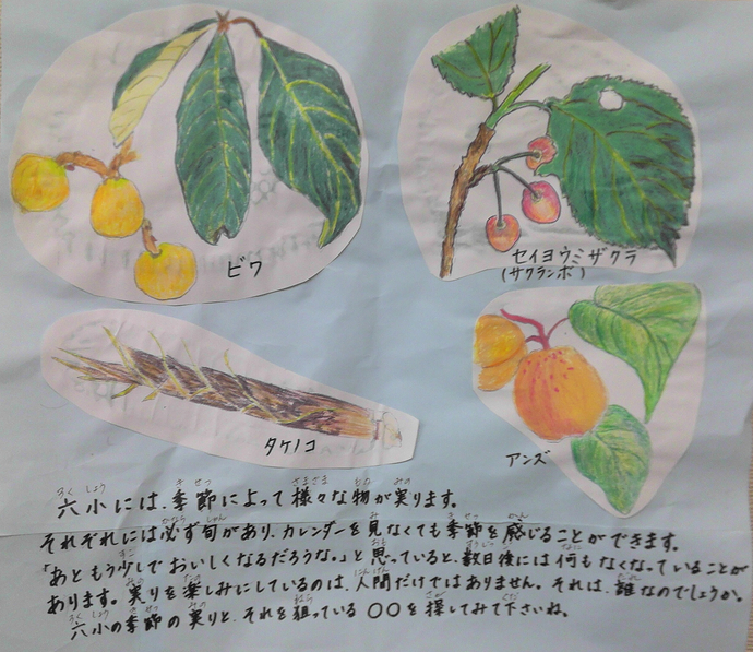 六小には、ビワやアンズ、タケノコなど季節の実りもたくさんあります。