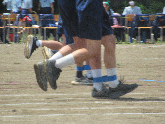 写真　運動会